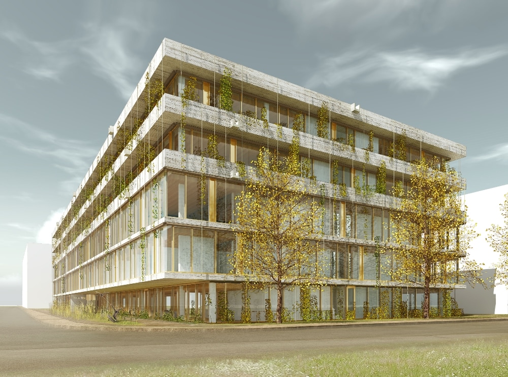 Tropeninstitut beginnt mit Neubau