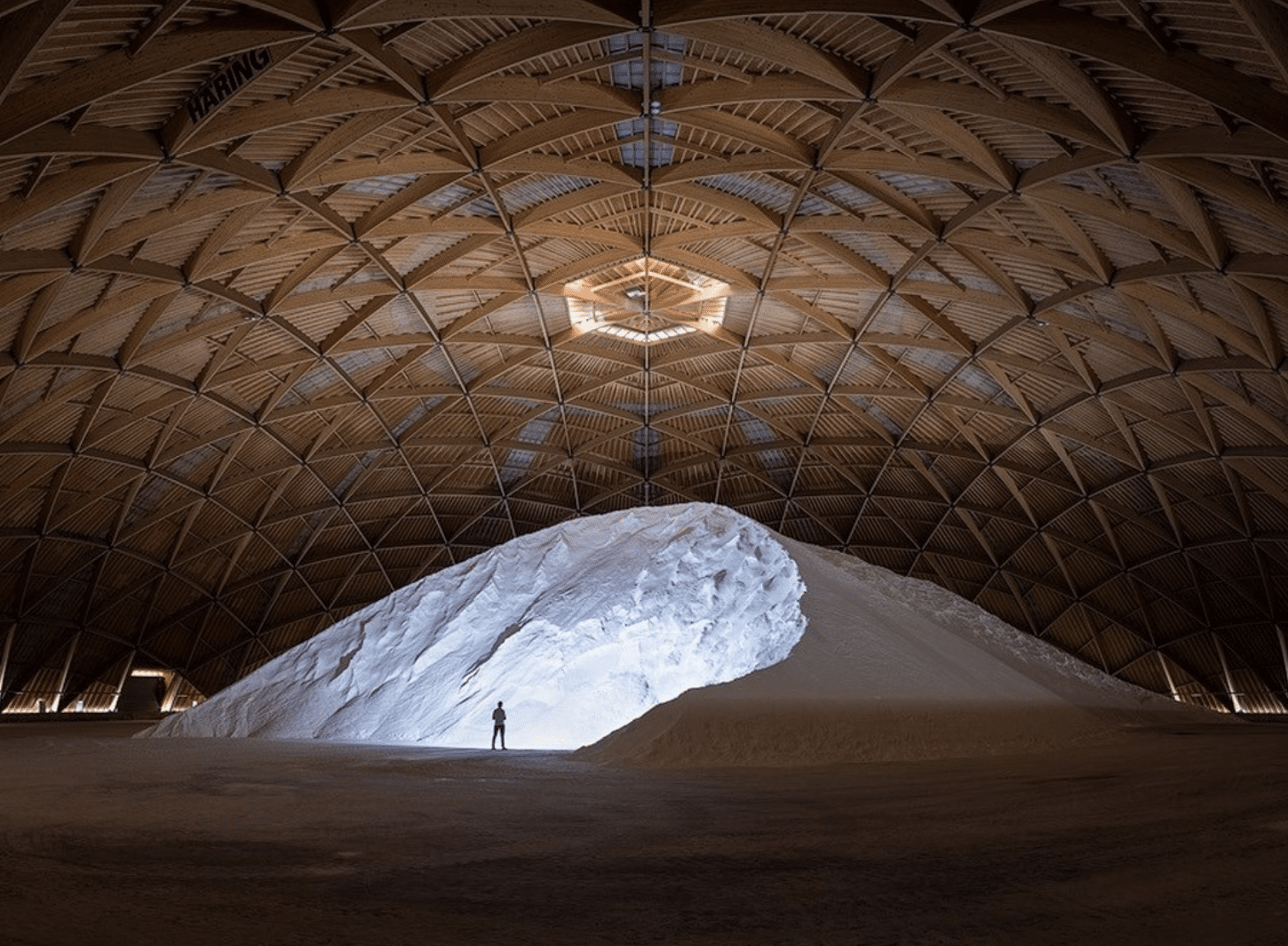 Saldome 2 bei der Saline Riburg, dem grössten Holzkuppelbau der Schweiz, mit über 120’000 Tonnen Auftausalz für eisfreie Strassen.